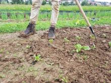 Eine matschige Angelegenheit.