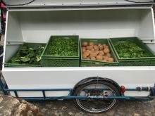 Die Box "Rumpumpel" wird beladen. Die Box "Rumpumpel" wird beladen.