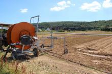 Ein weiteres Bild der Bewässerungsanlage